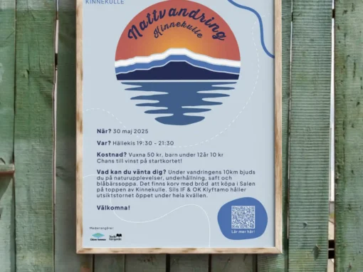 nattvandring – affisch